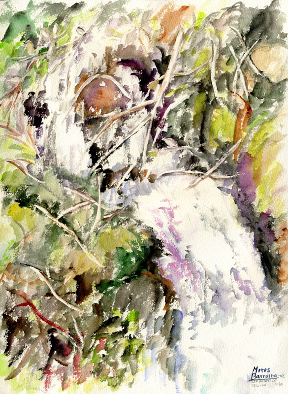Acuarela "Cascada T" de Meres Barreira.