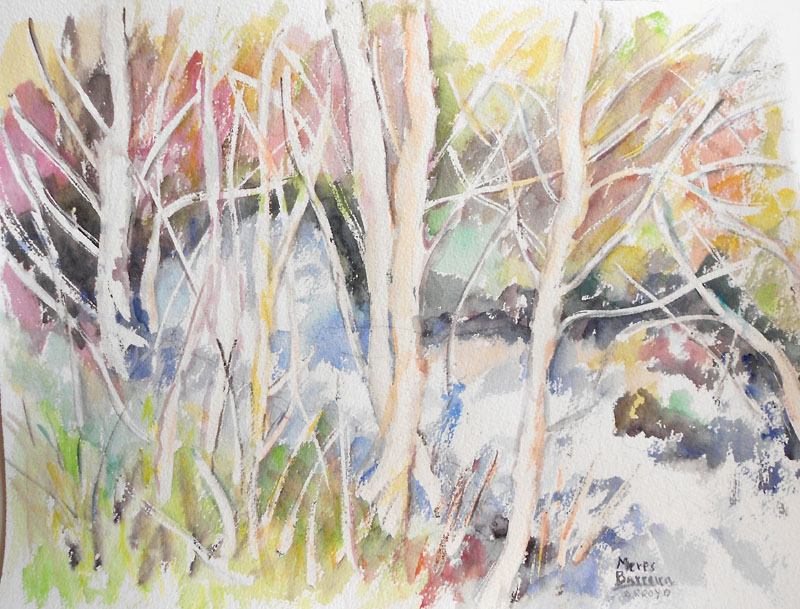 Acuarela "Arroyo" de Meres Barreira.