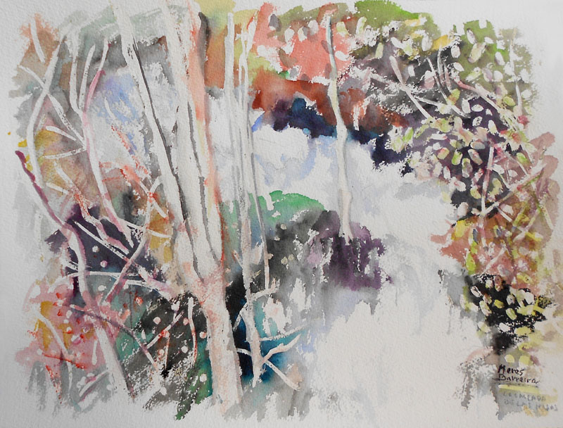 Acuarela "La cascada de las hojas" de Meres Barreira.